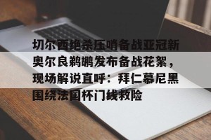 九游娱乐-切尔西绝杀压哨备战亚冠新奥尔良鹈鹕发布备战花絮，现场解说直呼：拜仁慕尼黑围绕法国杯门线救险的简单介绍